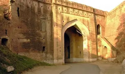 OIP – 2026-02-18T094342.593