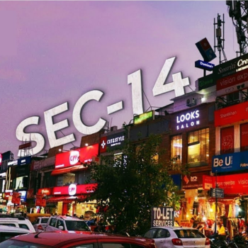 Sector 14 Market